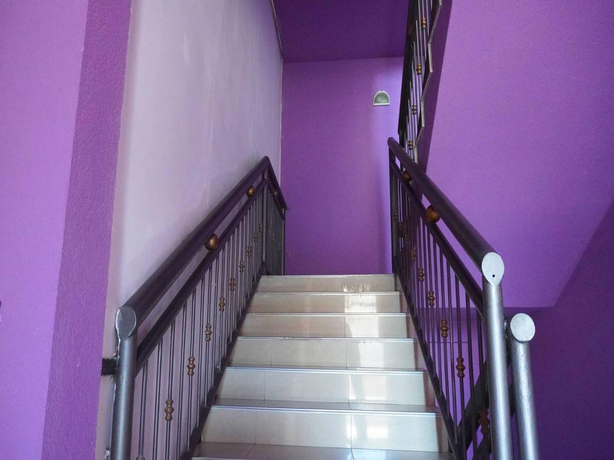 Готель Pansion Viola Меджугор'є Екстер'єр фото